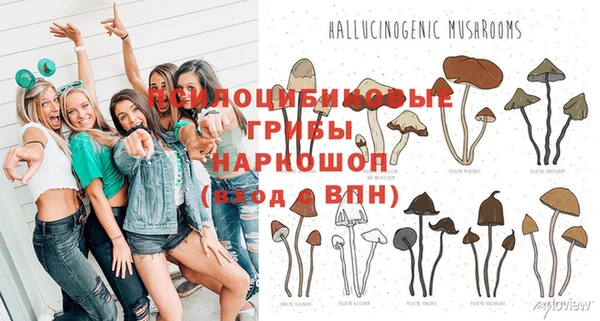 Альфа ПВП Абдулино