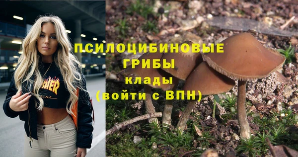 прущая мука Абинск