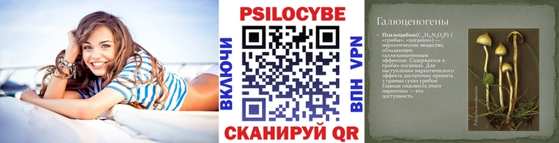 Псилоцибиновые грибы Psilocybine cubensis  Калининград 