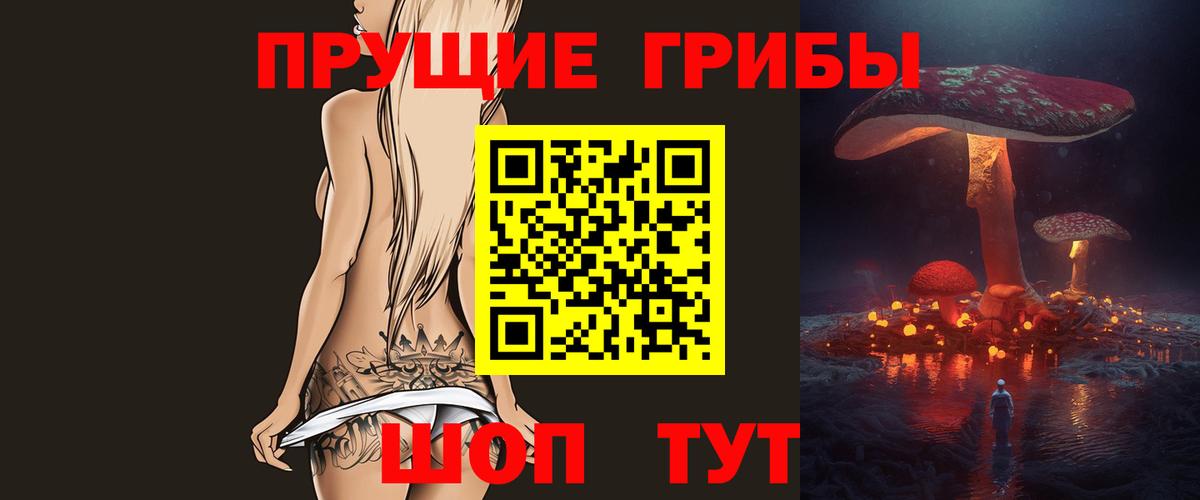 Галлюциногенные грибы Cubensis Калининград